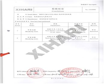 XRNT-12KV 125A-3